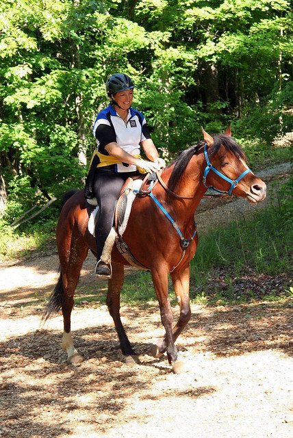 horseback riding in Eureka Springs