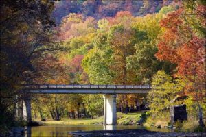 fall foliage in Eureka Springs
