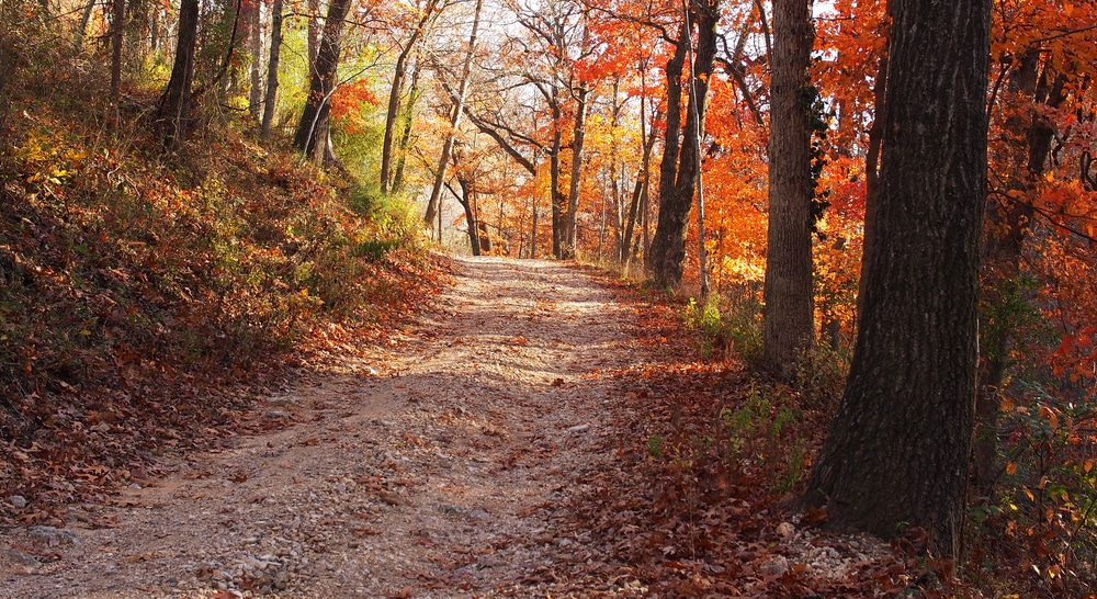 Take a hike and enjoy the Eureka Springs fall foliage near our Bed and Breakfast